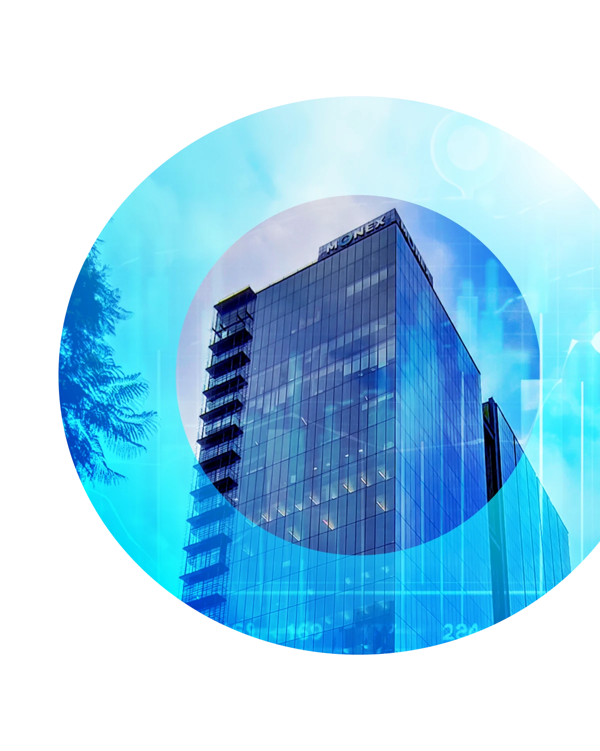 Persona a gusto con el respaldo de un sólido Grupo Financiero como lo es Monex